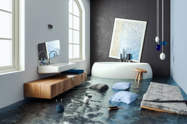 Best 24-hour water damage restoration  in Wellsville, UT