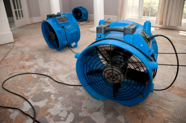 Best Basement water damage restoration  in Wellsville, UT
