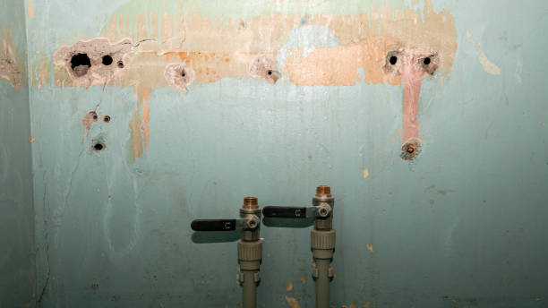 Best Fire Damage Restoration  in Wellsville, UT