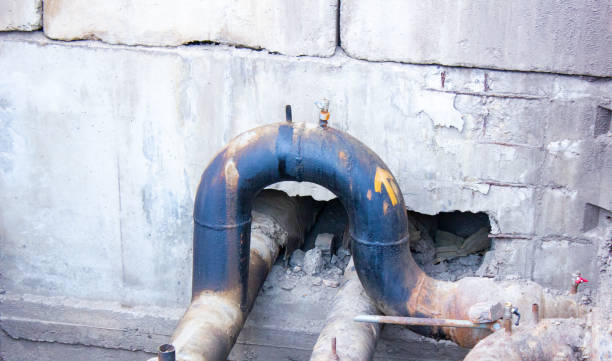 Best Basement water damage restoration  in Wellsville, UT