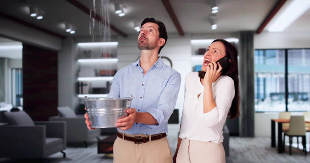 Best Water damage restoration near me  in Wellsville, UT