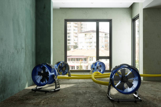 Best Emergency water damage restoration  in Wellsville, UT