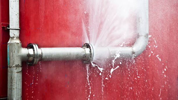 Best Local water damage restoration  in Wellsville, UT
