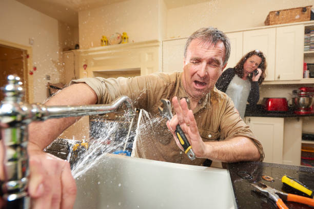 Best Water damage cleanup near me  in Wellsville, UT